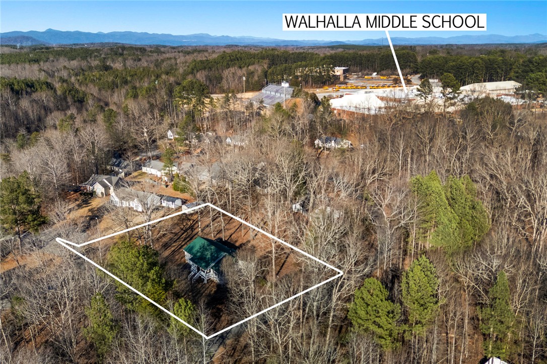 324 Fox Run Road Walhalla, SC 29691 - Photo 41 of 48