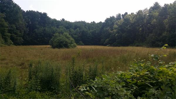 0 Doane Road Ware, MA 01082 - Photo 1 of 1