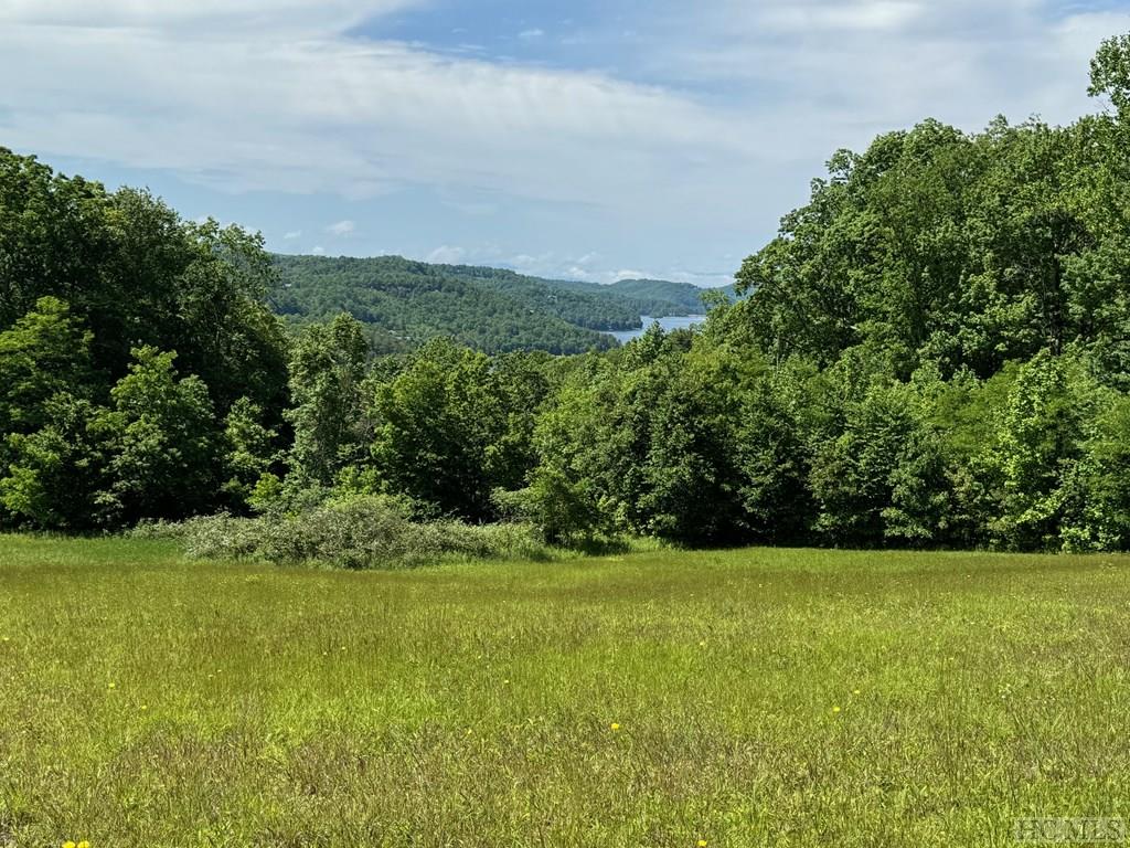 Lot 3 High Meadow Road Cullowhee, NC 28723 - Photo 3 of 20 Gallery Image 3