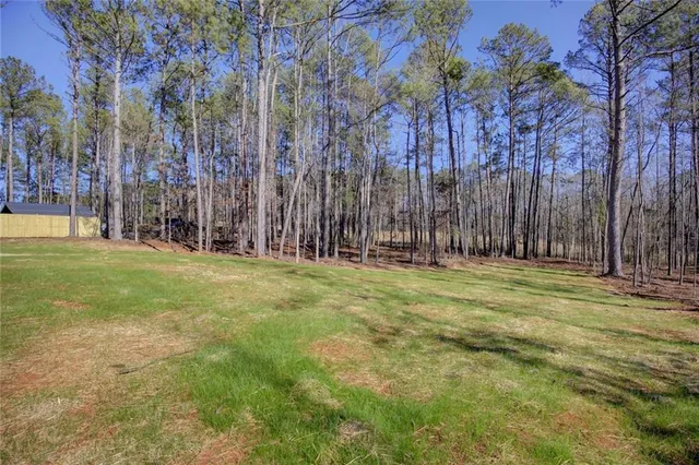 a view of a field with a tree