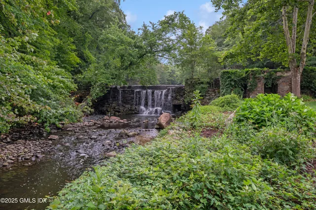 a view of garden with trees in the background