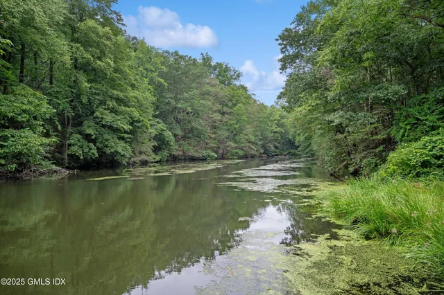 a view of a lake view with a tree