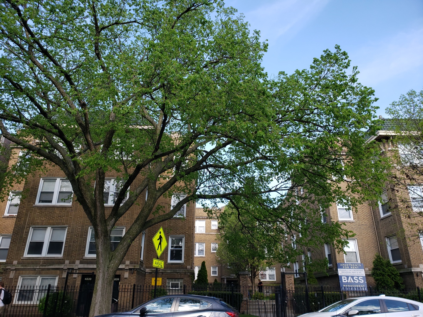 4837 North Kimball Avenue, Unit I2 Chicago, IL 60625 - Photo 1 of 1 a tall tree in middle of a building