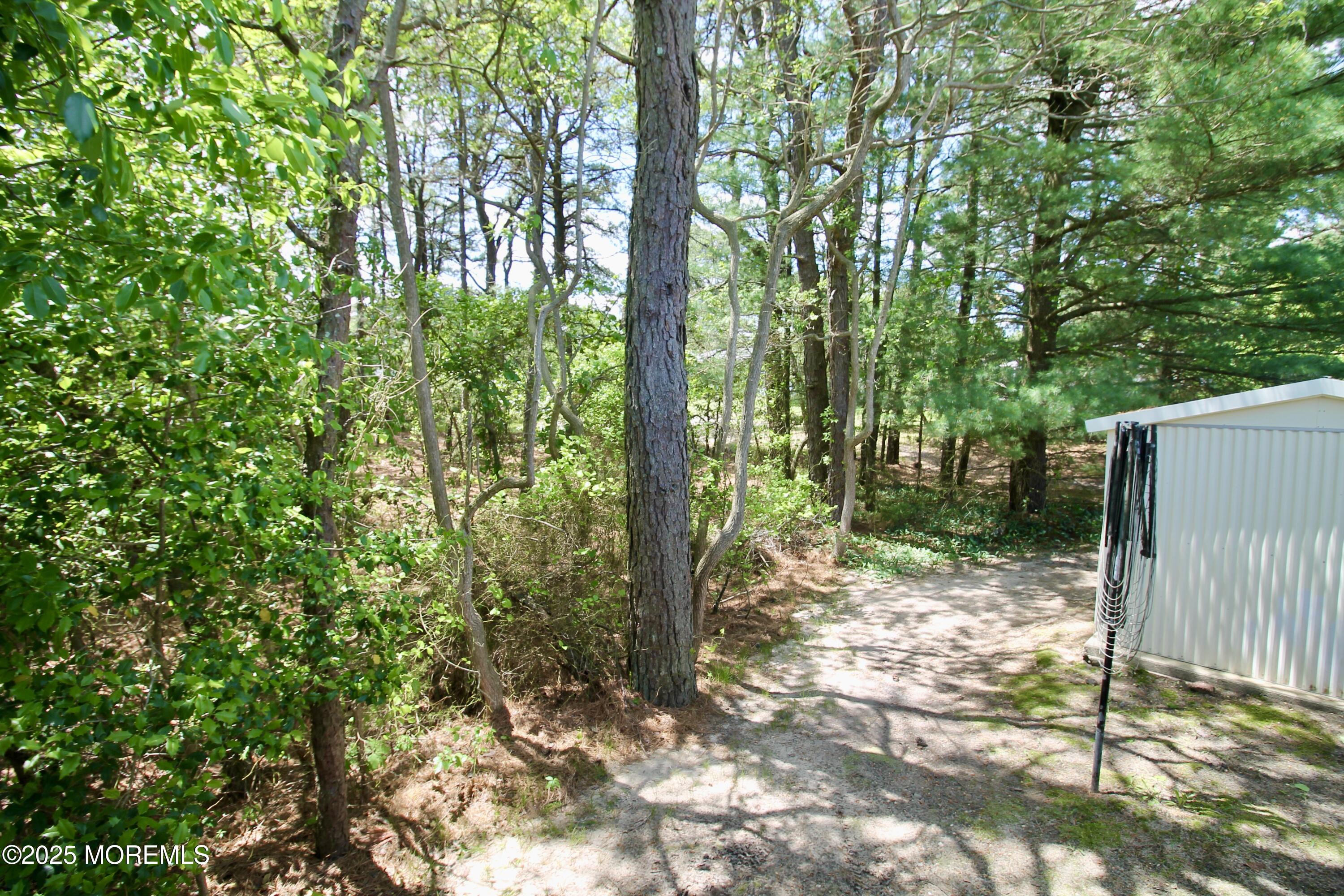 41 Eagle Drive Whiting, NJ 08759 - Photo 27 of 31 a view of forest