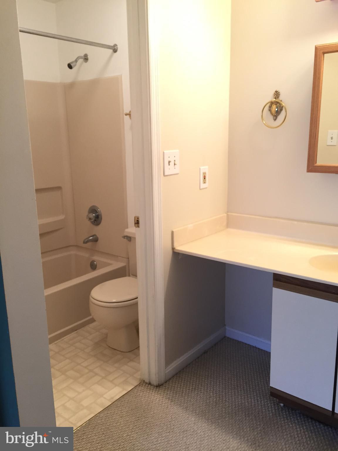 8341 Montgomery Run Road, Unit H Ellicott City, MD 21043 - Photo 12 of 16 Bath (Master)