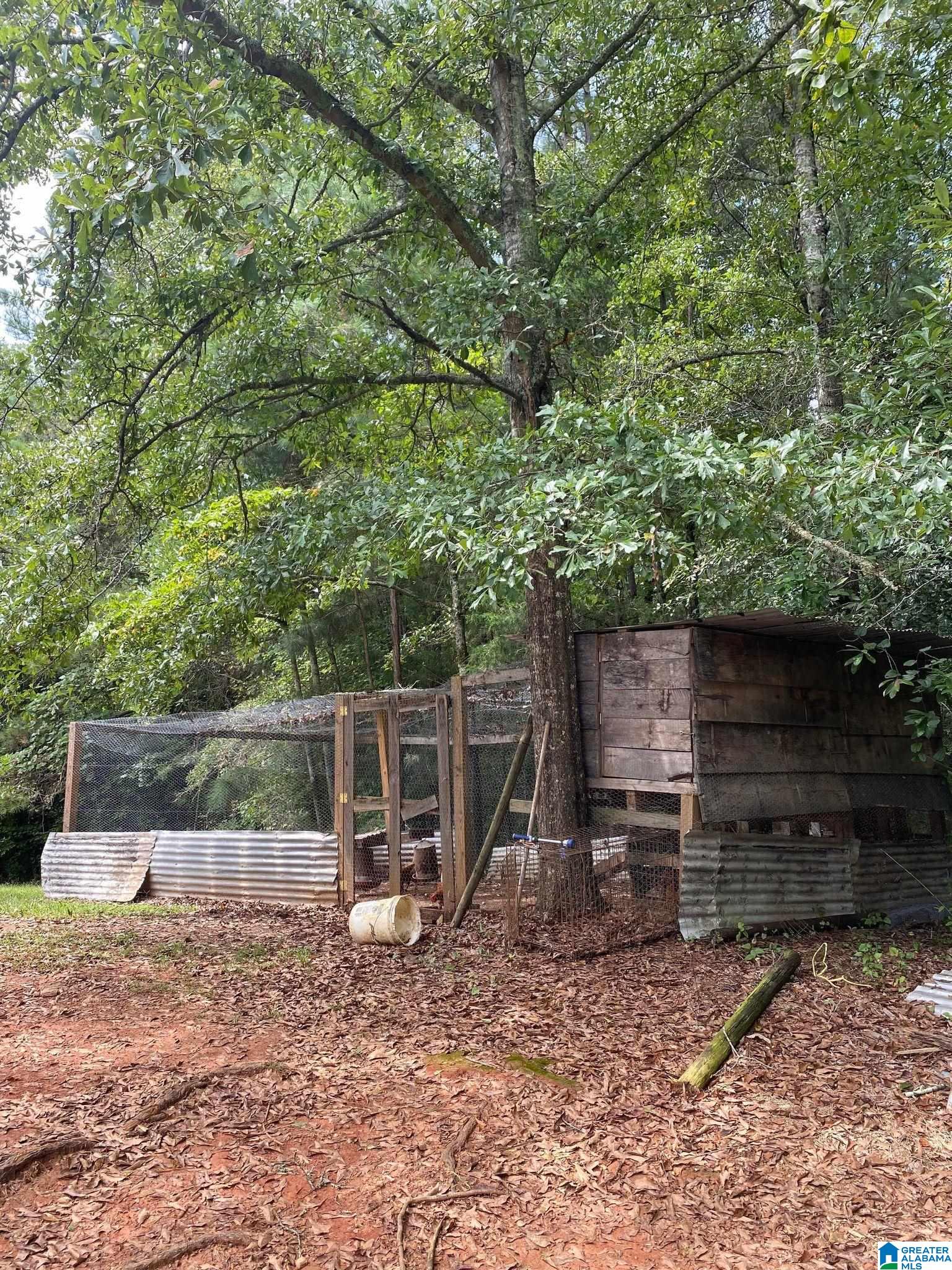 575 Cherry Street Wedowee, AL 36278 - Photo 49 of 50 Gallery Image 49