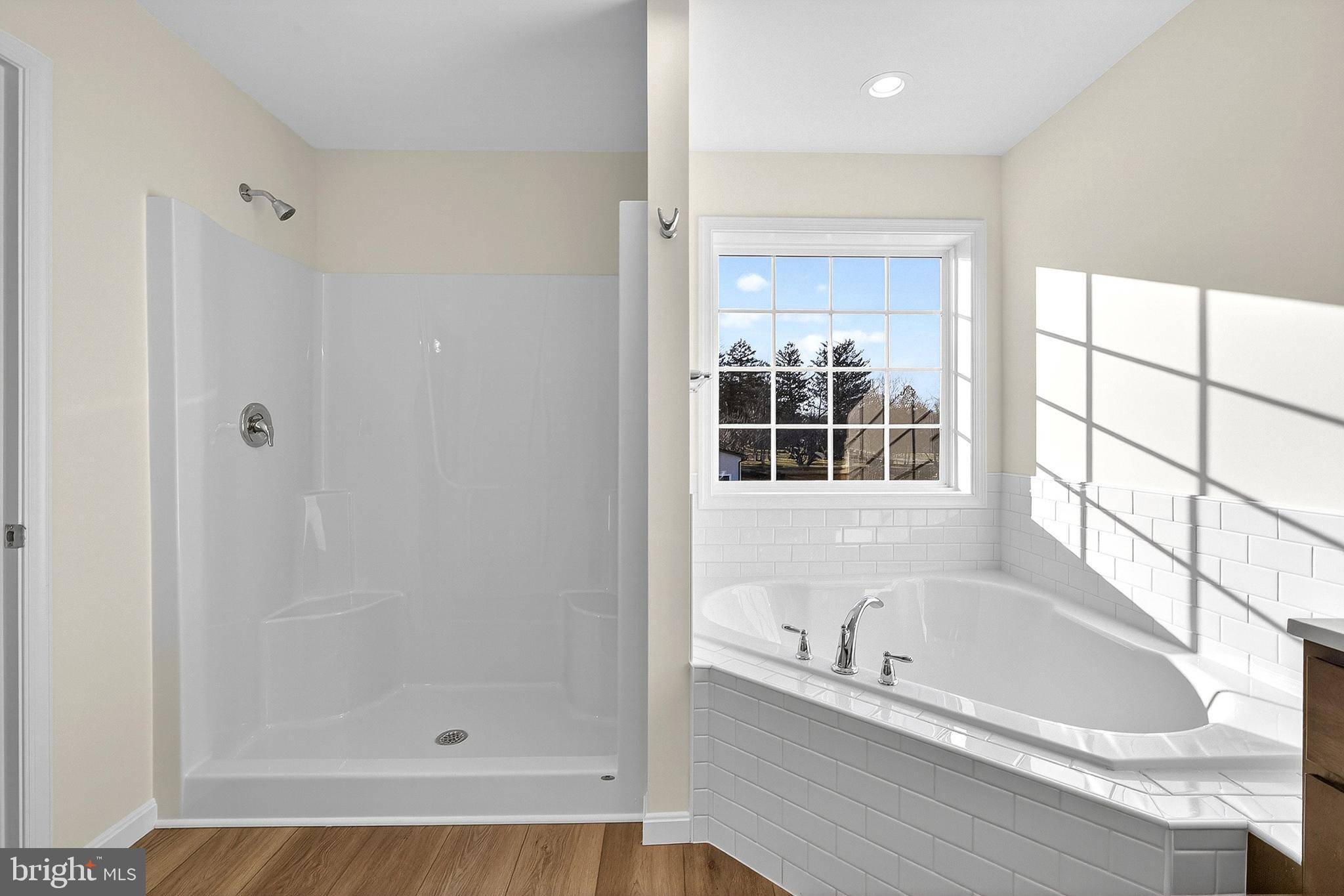 719 West Evens Road Viola, DE 19979 - Photo 42 of 65 a bathroom with a bathtub and a shower