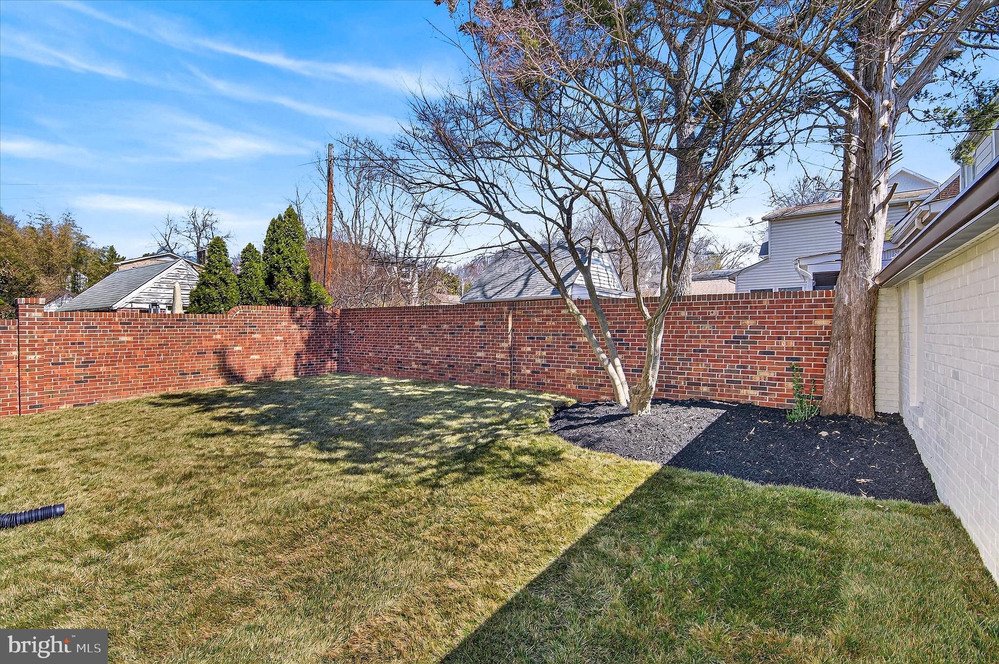 1607 North Glebe Road Arlington, VA 22207 - Photo 41 of 45 Back yard