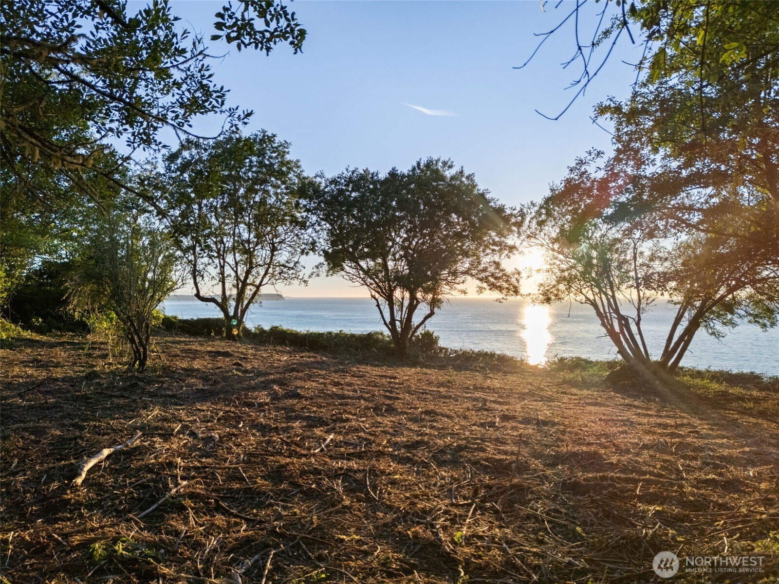 0 Haada Laas Road Port Townsend, WA 98368 - Photo 1 of 40 Gallery Image 1