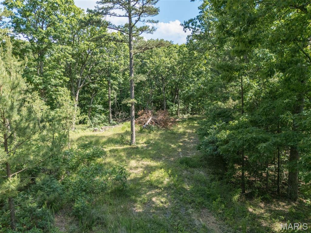 10130 Fish Hook Road Potosi, MO 63664 - Photo 29 of 29