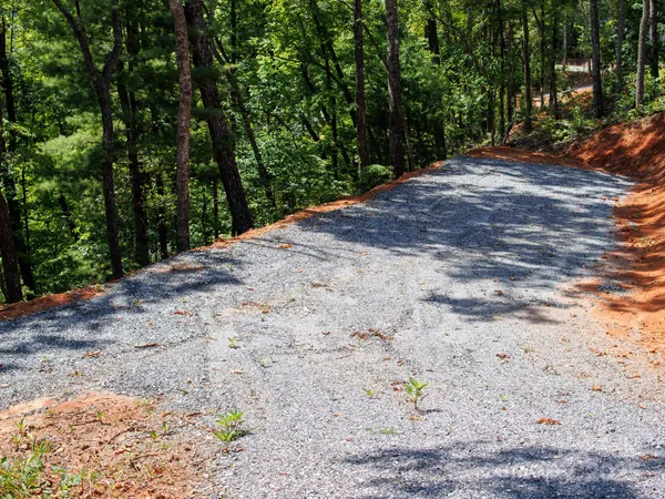 a view of a dirt road with trees in the background