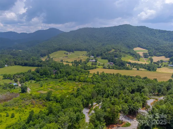 a view of a lush green hillside and houses