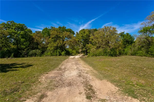 a view of a yard with an trees