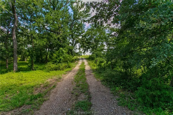 a view of a large yard with lots of green space