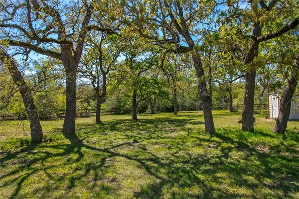 a view of a garden with trees