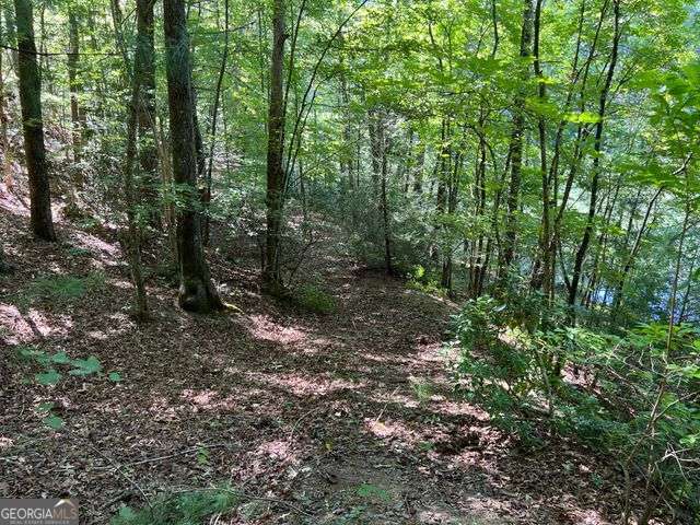 4 Maxwell Mountain Road Ellijay, GA 30540 - Photo 11 of 14 a view of a forest with trees in the background