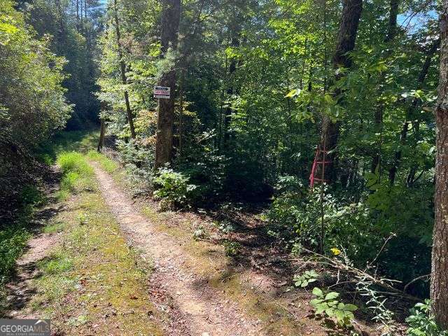 4 Maxwell Mountain Road Ellijay, GA 30540 - Photo 12 of 14 a view of a garden with trees