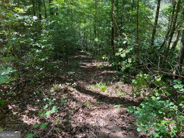 4 Maxwell Mountain Road Ellijay, GA 30540 - Photo 13 of 14 a view of a forest with a tree