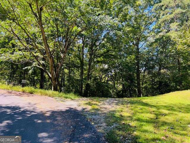 4 Maxwell Mountain Road Ellijay, GA 30540 - Photo 14 of 14 a view of yard with green space