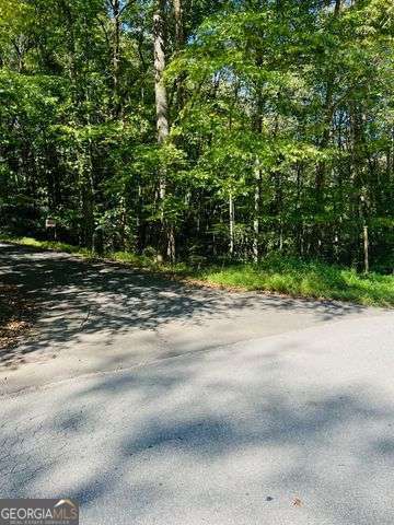 4 Maxwell Mountain Road Ellijay, GA 30540 - Photo 2 of 14 a view of a road with a yard