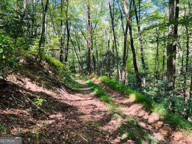4 Maxwell Mountain Road Ellijay, GA 30540 - Photo 5 of 14 a view of a forest with trees