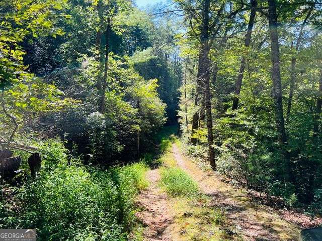4 Maxwell Mountain Road Ellijay, GA 30540 - Photo 7 of 14 a view of a garden with trees