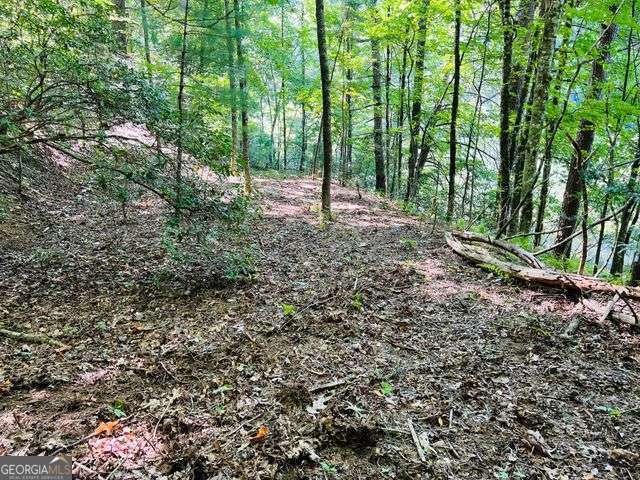 4 Maxwell Mountain Road Ellijay, GA 30540 - Photo 9 of 14 a view of outdoor space and trees