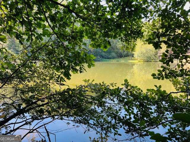 4 Maxwell Mountain Road Ellijay, GA 30540 - Photo 10 of 14