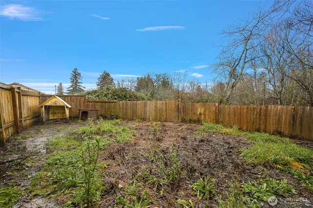 a view of a backyard