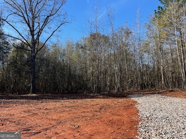 146 Berry Road Barnesville, GA 30204 - Photo 4 of 5 a view of space with wooden fence