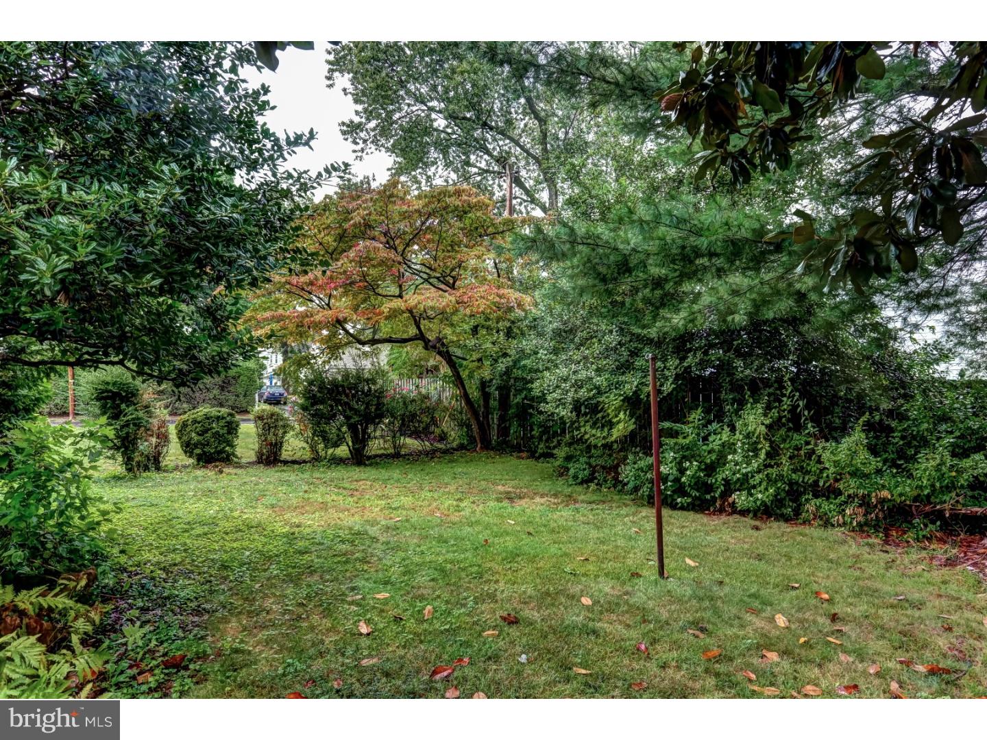 309 Brock Road Springfield, PA 19064 - Photo 6 of 20 Back Yard