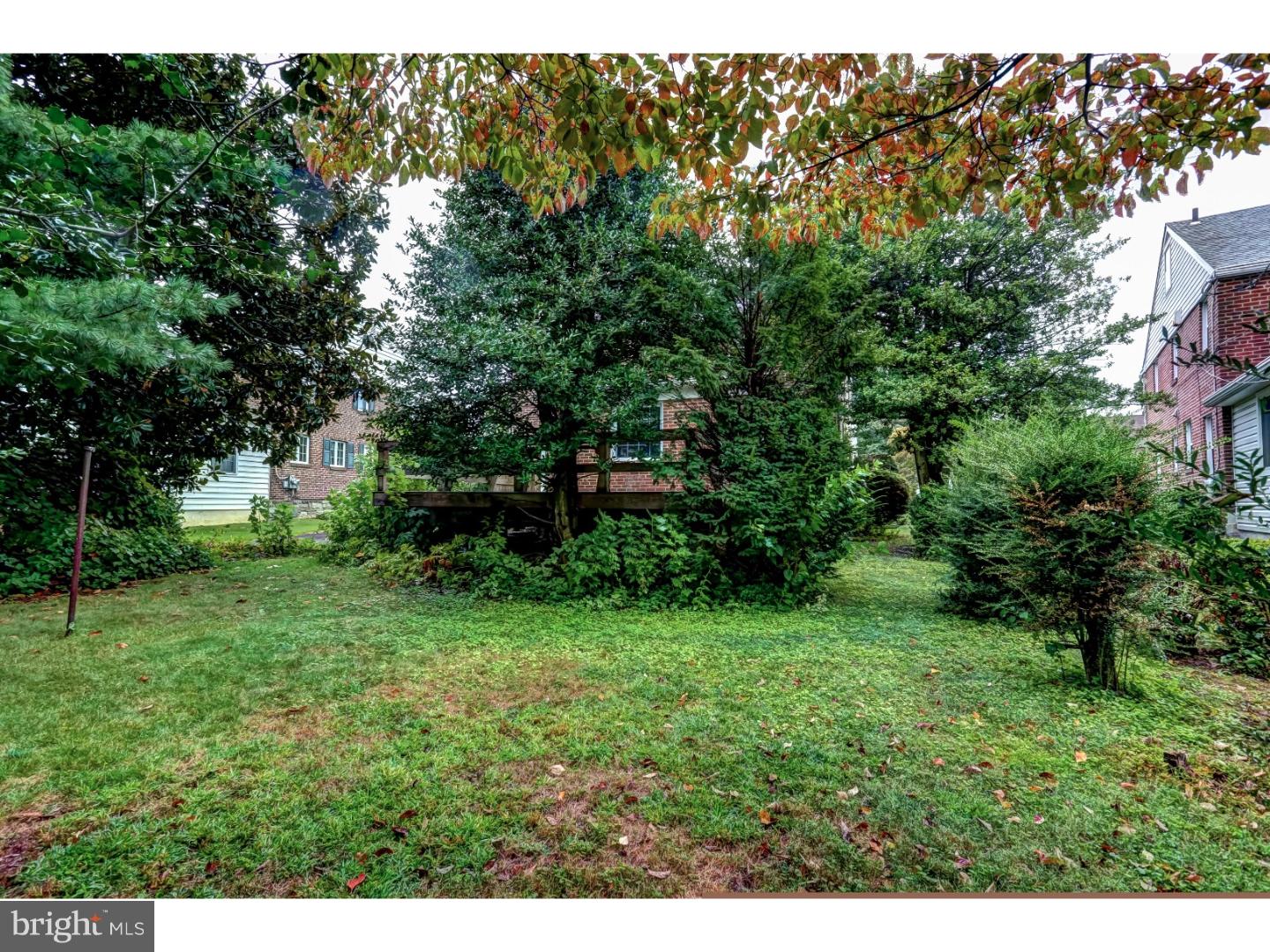 309 Brock Road Springfield, PA 19064 - Photo 7 of 20 Back Yard
