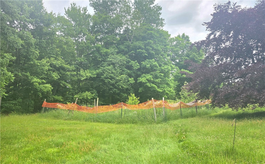 171 Haskins Road Erin, NY 14838 - Photo 4 of 9