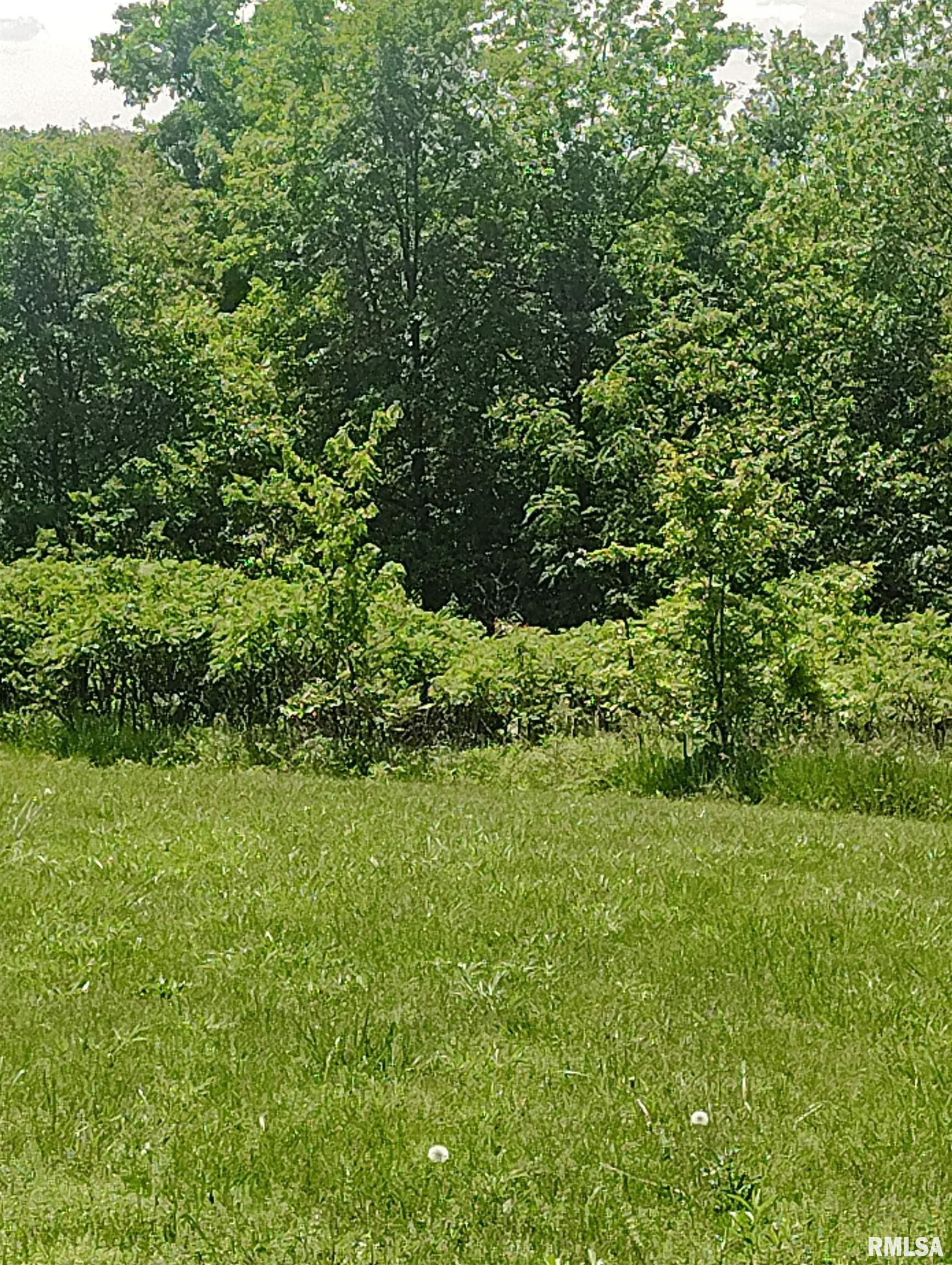30720 North Norris Blacktop Road Farmington, IL 61531 - Photo 18 of 94
