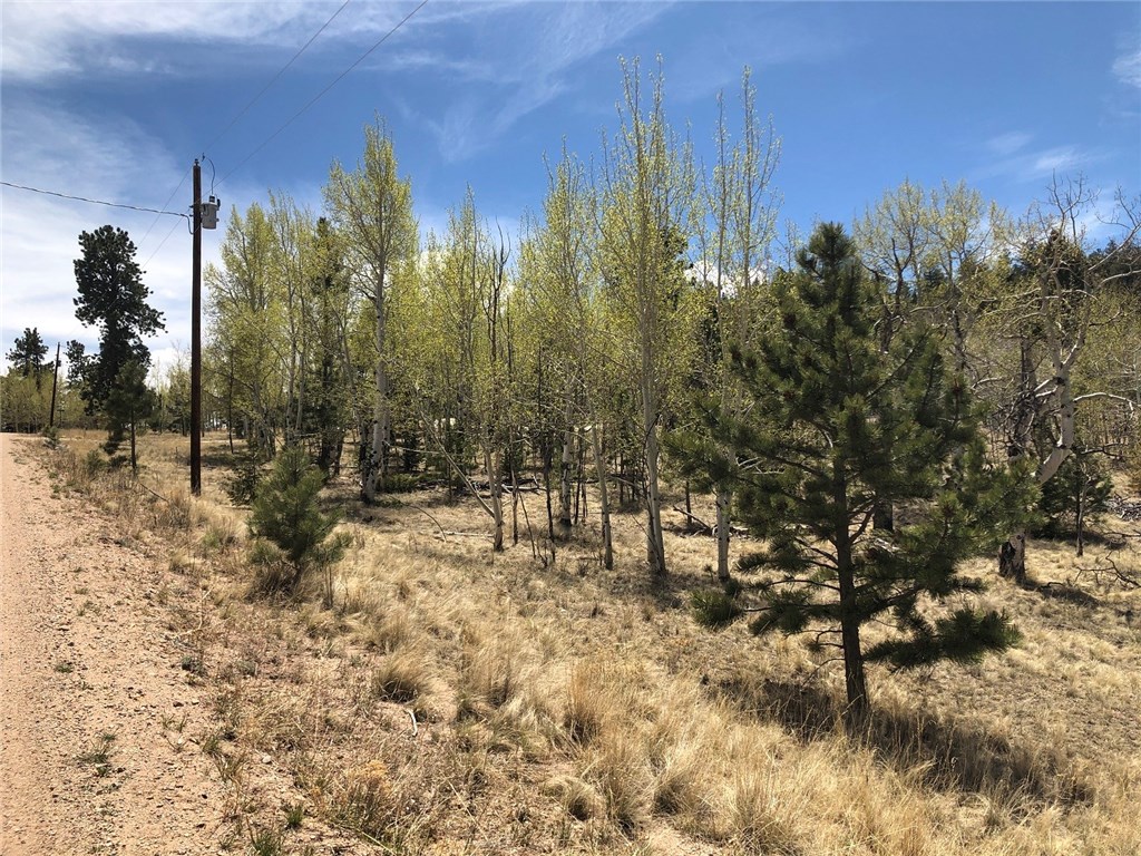 10380 Ranch Road Hartsel, CO 80449 - Photo 16 of 18 Gallery Image 16