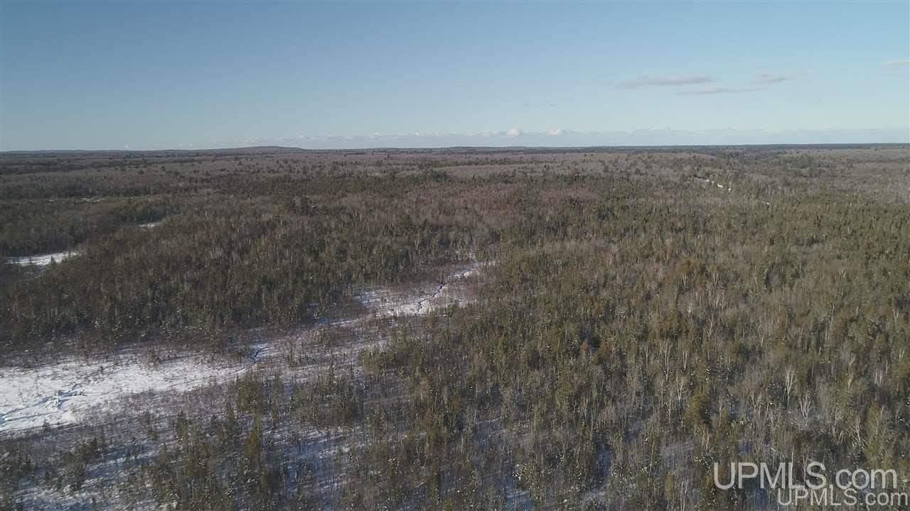 80-acres Co Rd N415 McMillan, MI 49853 - Photo 22 of 36