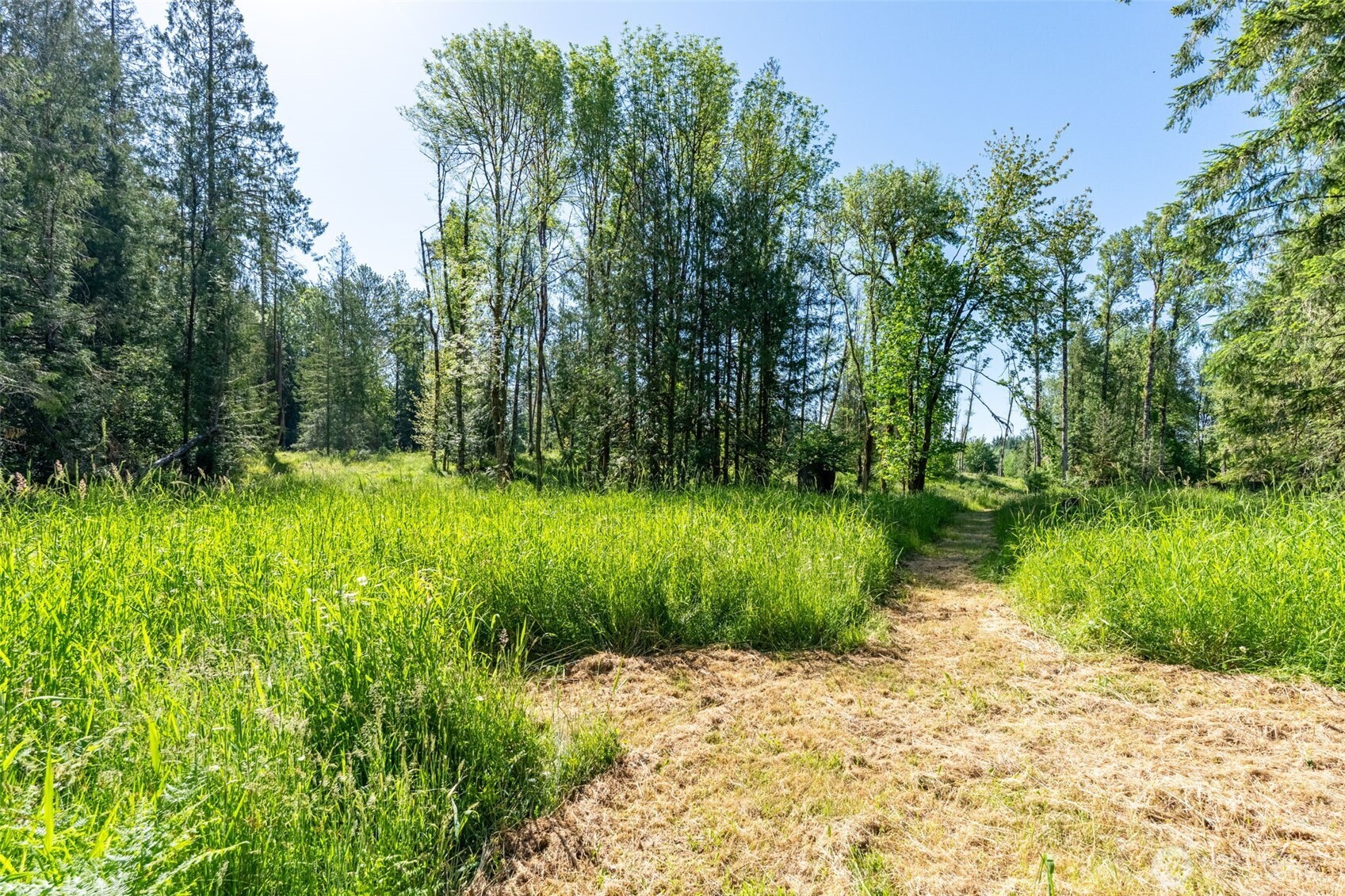0 Chilvers Road Chehalis, WA 98532 - Photo 23 of 40