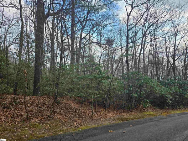 $35,000 | 111 Columbine Way, Cleveland, SC 29635