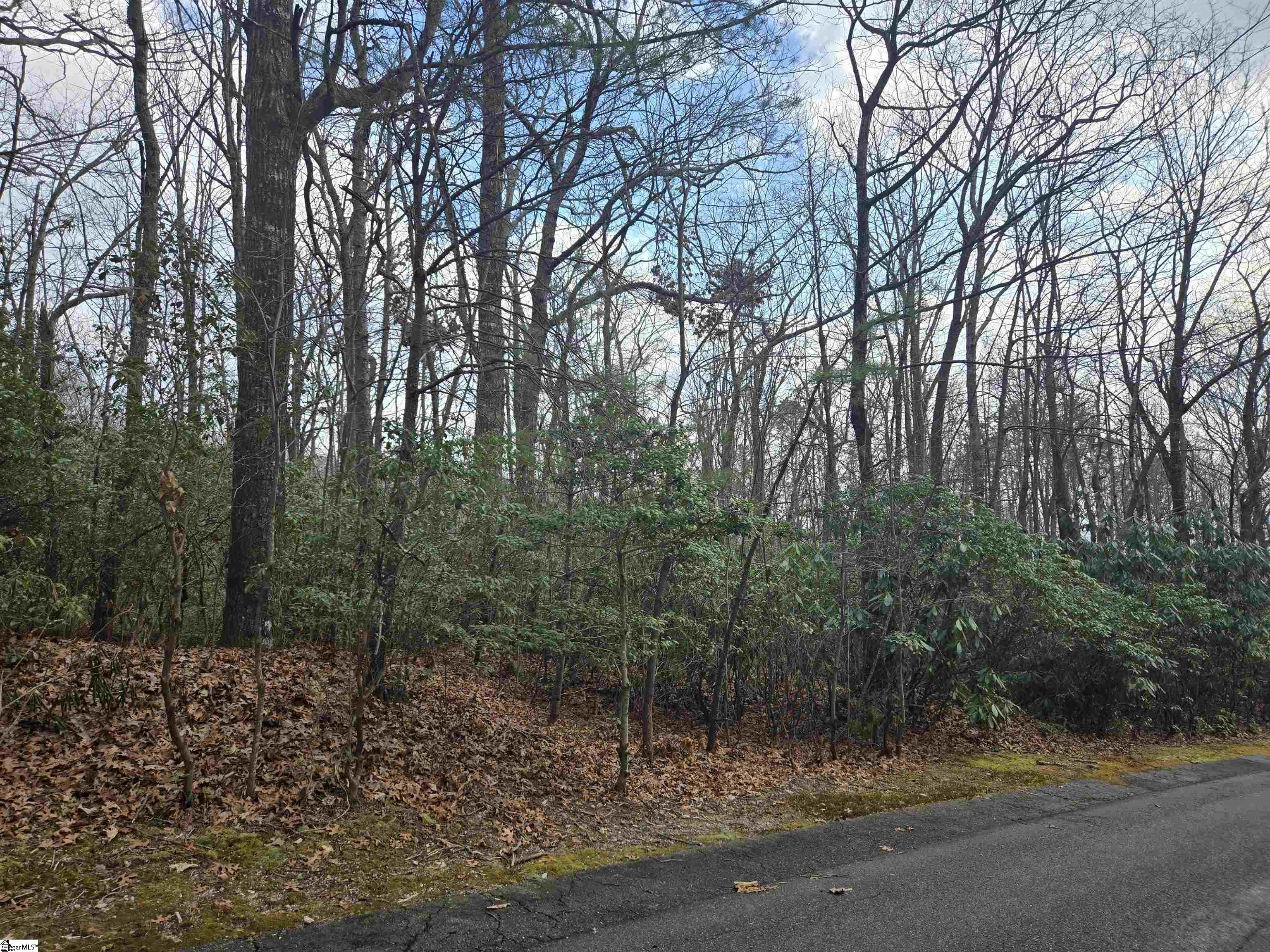 111 Columbine Way Cleveland, SC 29635 - Photo 2 of 9