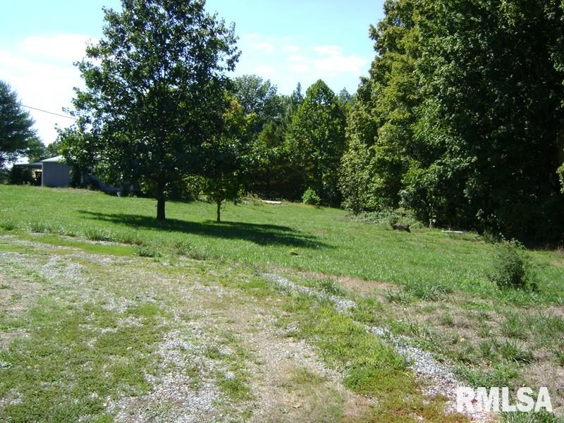 725 Bauer Road Jonesboro, IL 62952 - Photo 4 of 4 Gallery Image 4