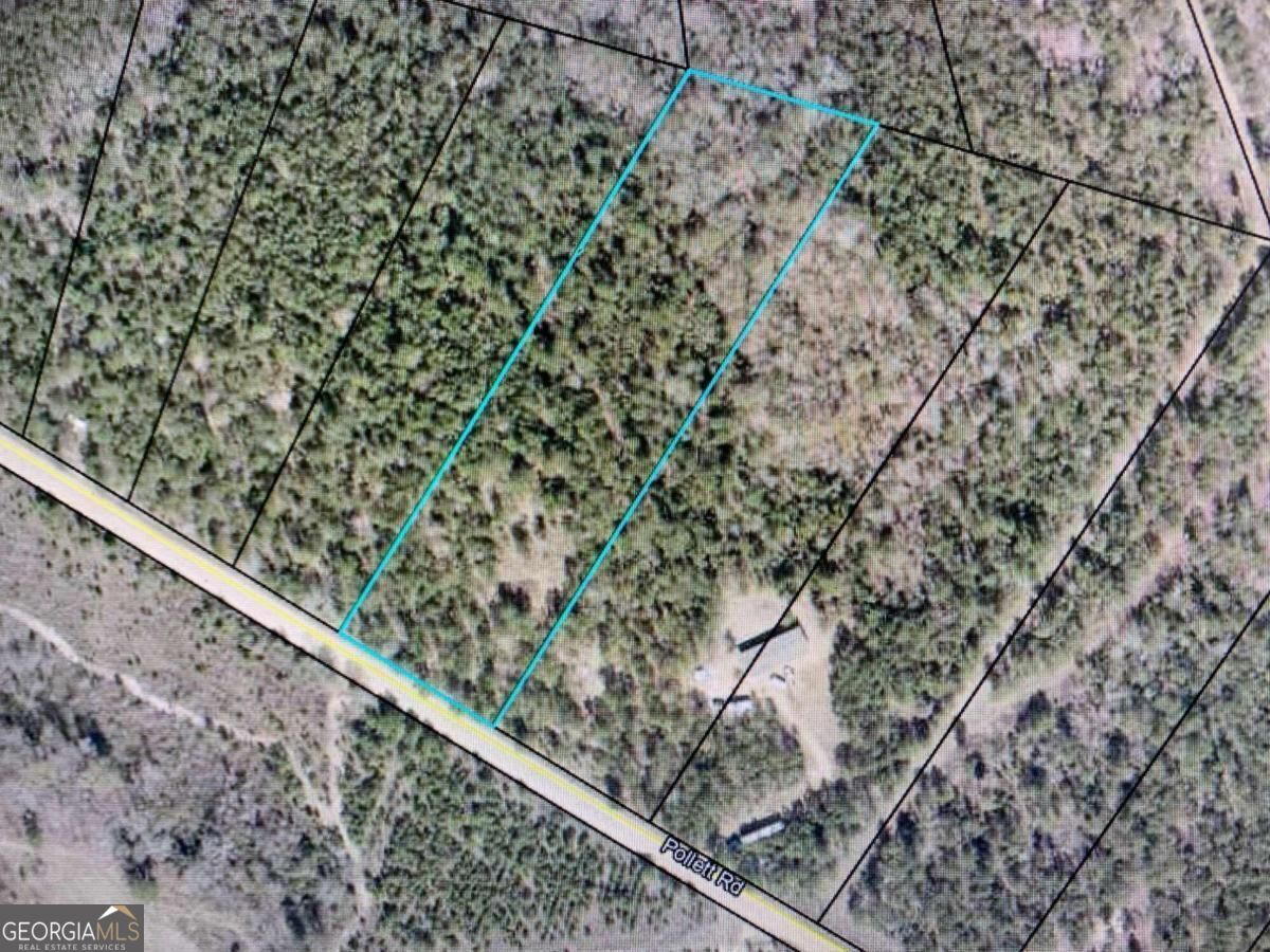0 Pollett Road, Unit LOT 29 Bartow, GA 30413 - Photo 4 of 4 Gallery Image 4