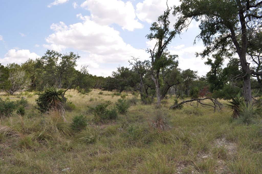 541 Rough Hollow Road Johnson City, TX 78636 - Photo 13 of 30 Gallery Image 13