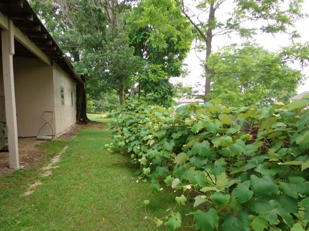 869 Allison Road Piney Flats, TN 37686 - Photo 18 of 19 Photo 18