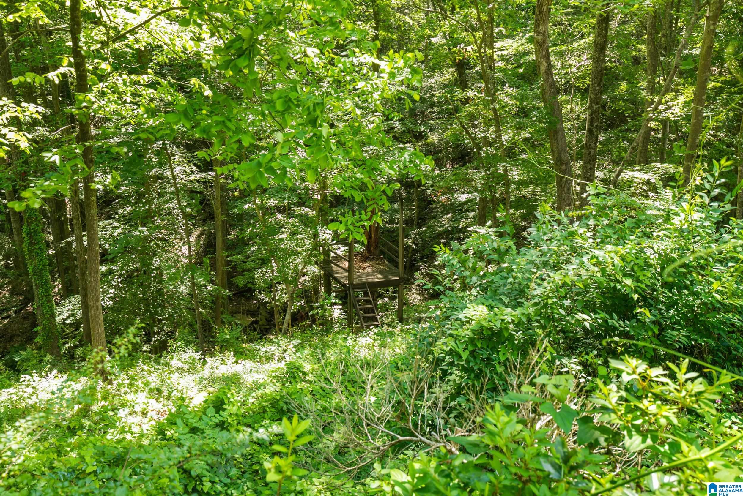 3982 Spring Valley Road Birmingham, AL 35223 - Photo 75 of 89 Gallery Image 75