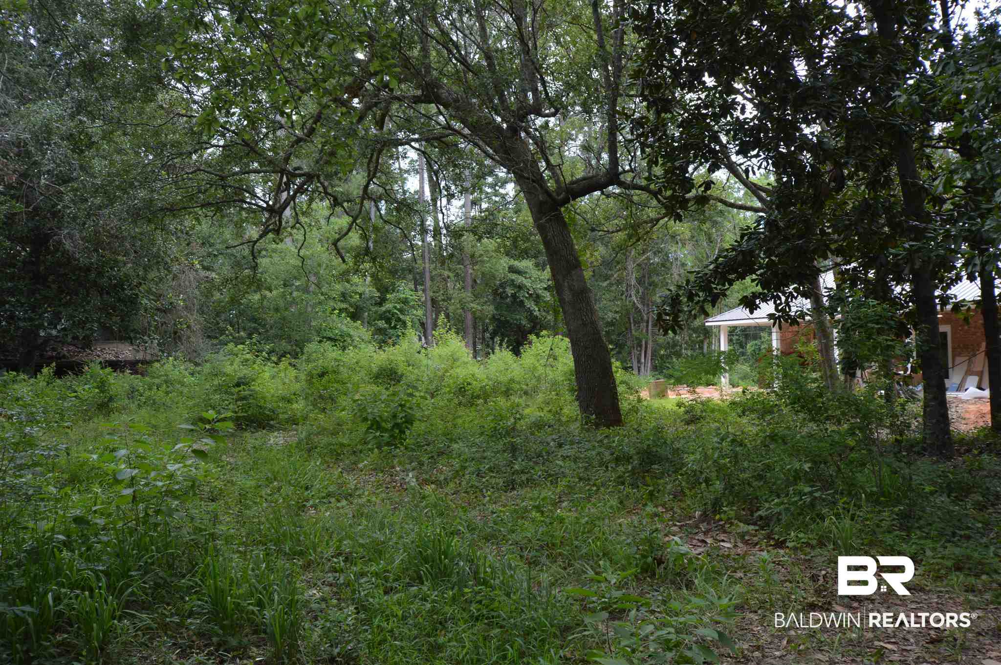 Lot 3 3rd Street Lillian, AL 36549 - Photo 6 of 10