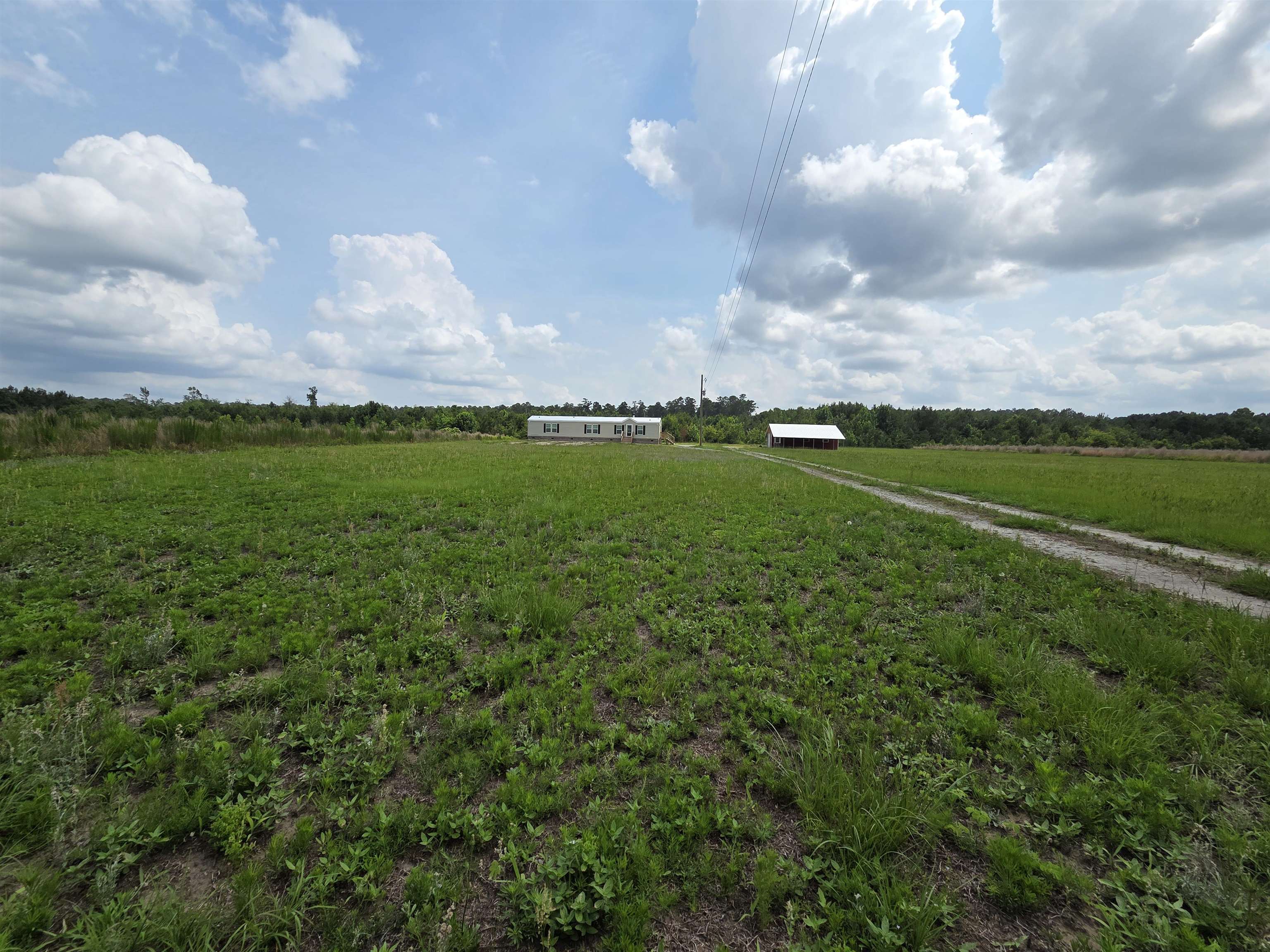 6397 Norton Road Green Sea, SC 29545 - Photo 29 of 36