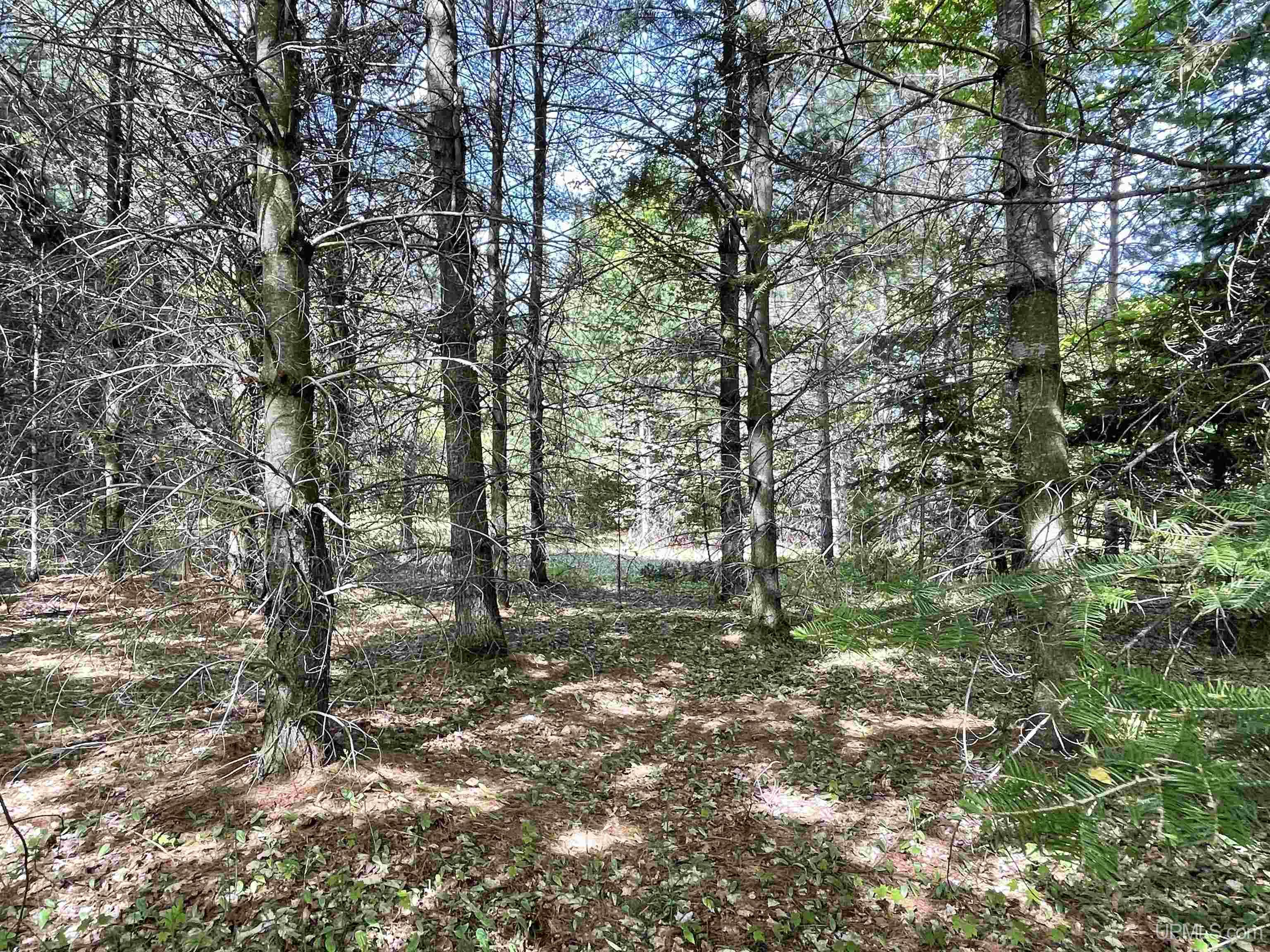 4855 N Camp 23 Road Germfask, MI 49836 - Photo 18 of 28