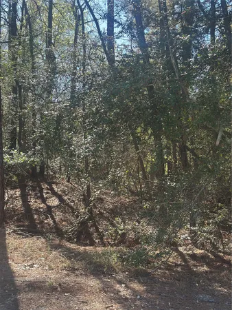 $19,500 | Lot 67-68 Wildwood Harbor, Onalaska, TX 77360
