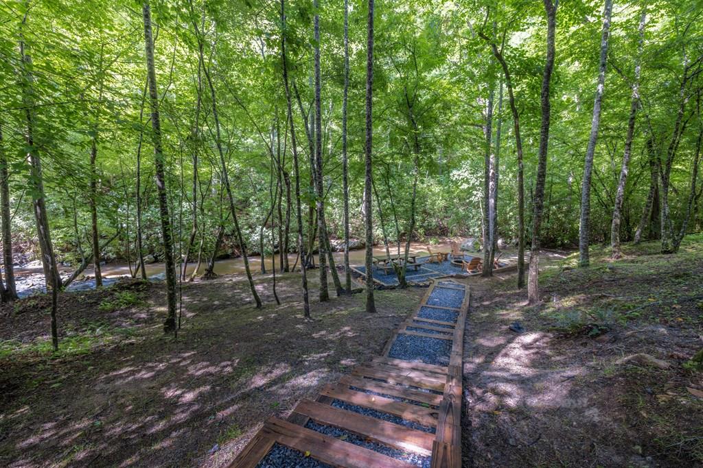 80 Tall Pines Road Morganton, GA 30560 - Photo 43 of 49 a view of park with trees