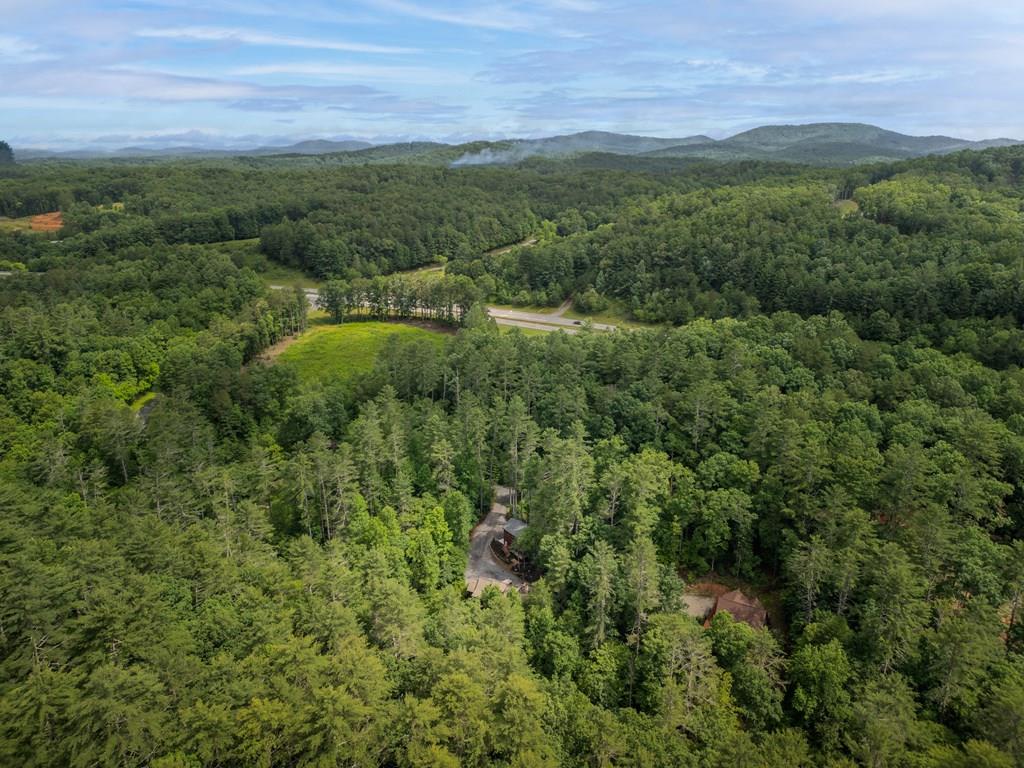 80 Tall Pines Road Morganton, GA 30560 - Photo 47 of 49 a view of a lush green forest with trees and some houses